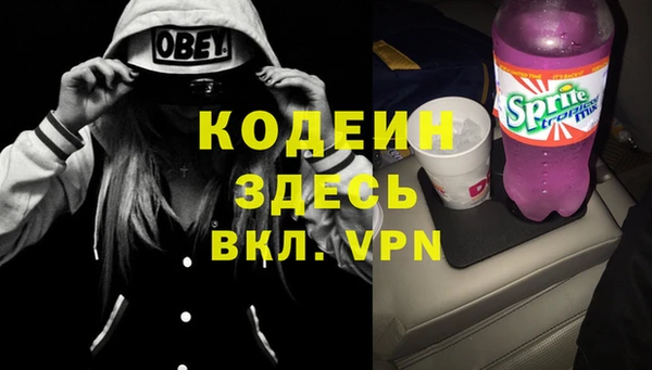 шишки Каменка