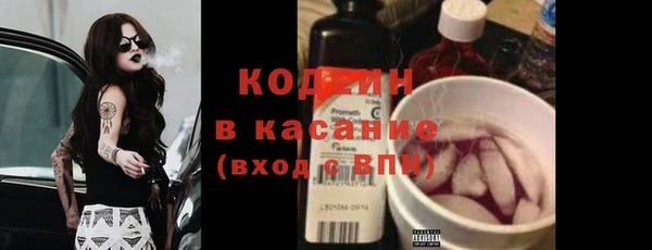 apvp Инсар