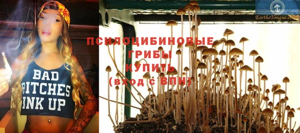 синтетический гашиш Козловка