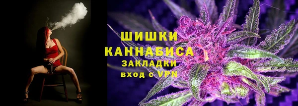 Альфа ПВП Чердынь
