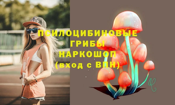 метадон Козельск